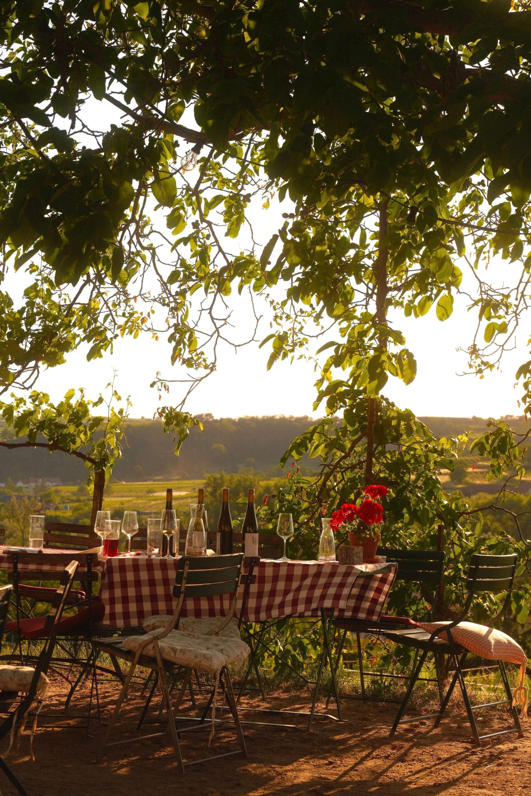 repas vendanges